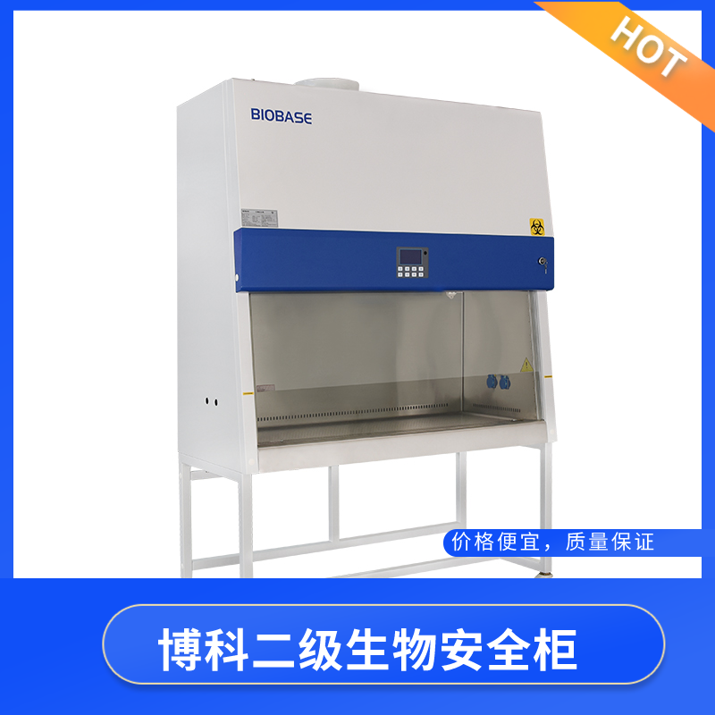 生物安全柜 實(shí)驗(yàn)室二級(jí)生物安全柜 廠(chǎng)家供應(yīng) 物美價(jià)廉